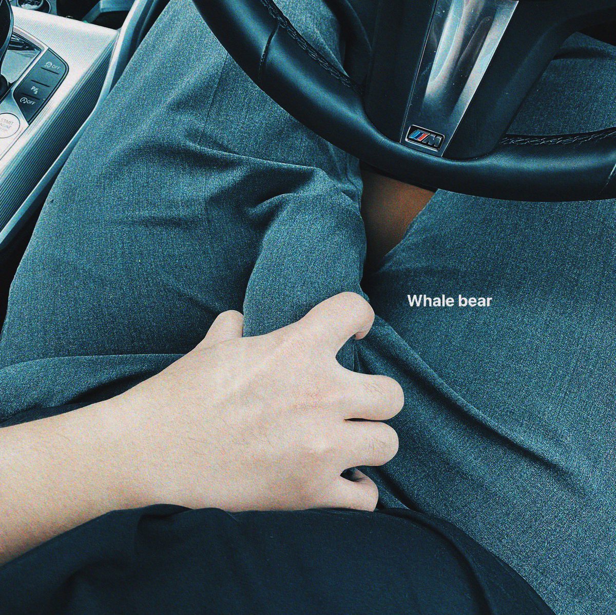 whale bear 🅴 on Twitter "Carplay"