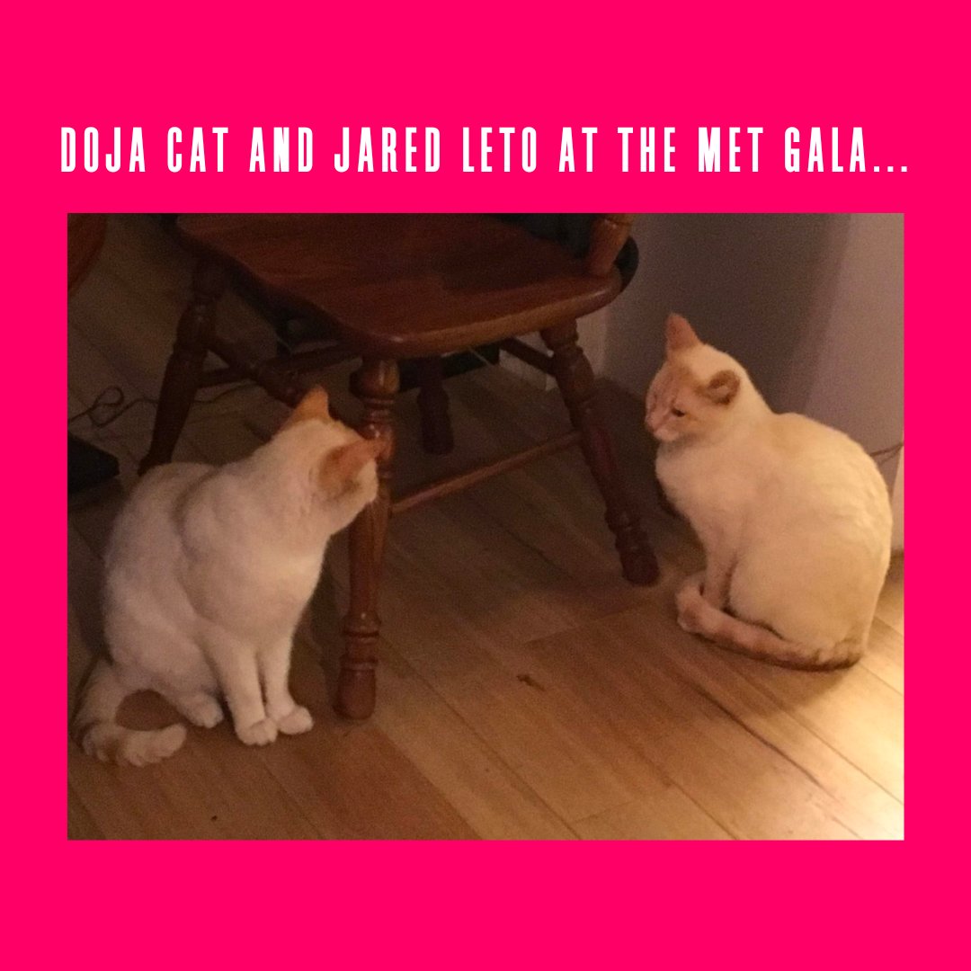 Mayfly Int Marketing tweet media