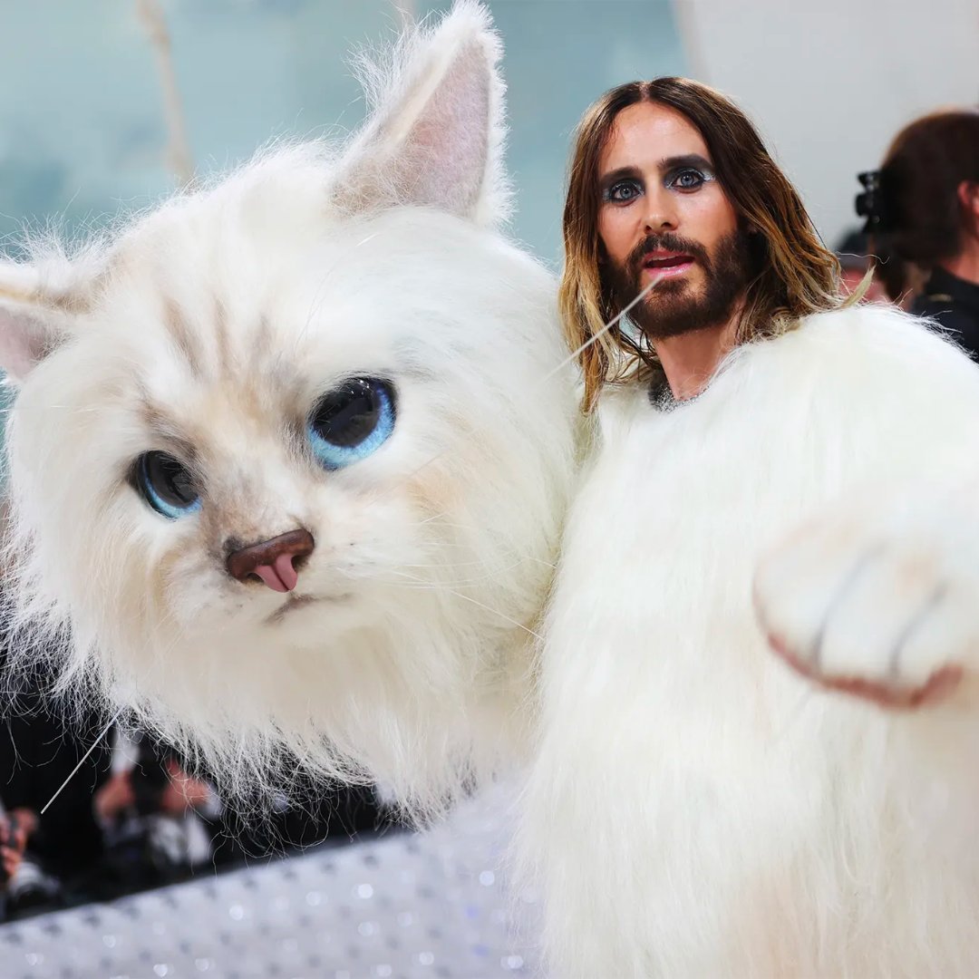 Mayfly Int Marketing tweet media