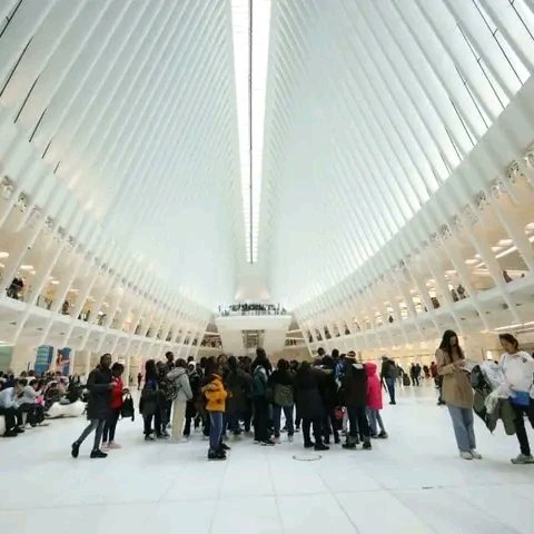LifeLinkGhana's tweet photo. All work and no play makes our delegates dull π
After 3 days discussing global issues and drafting resolutions, Life-Link Ghana Delegation took a tour to de-stress.π
#JHSMUN #GCIMUN #MUN #LLMUN #NewYorkCity #StatueOfLiberty https://t.co/fIC8lZQ29n