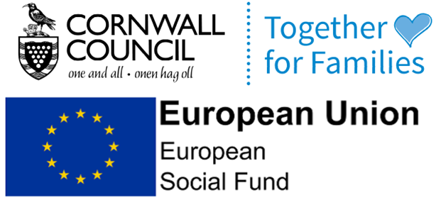 Exciting opportunities to join the Education Business Partnership team here at Cornwall Council. Employment Coaches (fixed term) more info here: cornwall.referrals.selectminds.com/jobs/project-o…