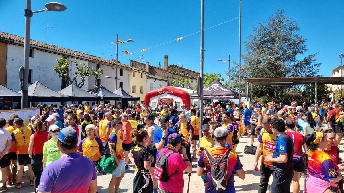 Ajuntament de Castellolí tweet media