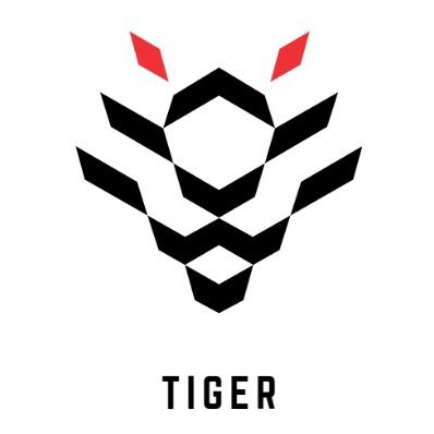 While we have completed the 1 kW Class D power amplifier project, it is worth taking a look at projects <a href="/ElectronicsDrv/">E&D @ElectronicsAndDrives@mastodon.social</a> in progress.
While team <a href="/EDRT_RIDE/">Electronics & Drives - RIDE</a>  is working on a smart e-motor control system, the main focus of <a href="/EDRT_TIGER/">Electronics & Drives - TIGER</a>  is on a parameter adjustable #GaN driver IC👏