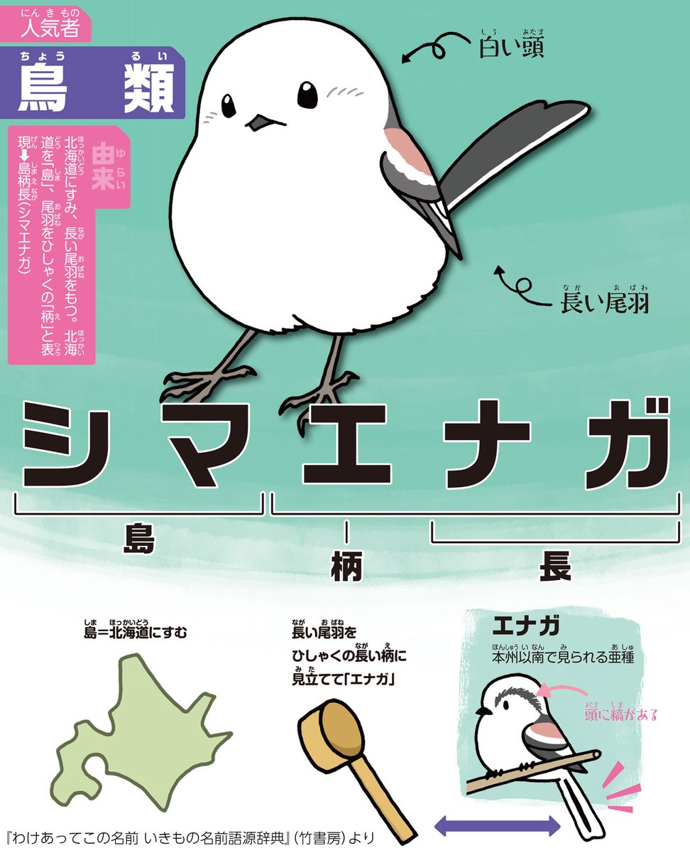 yizumori's tweet photo. 【開催中】
めっちゃ！昆虫展（ひらかたパーク）
https://t.co/bevqOrzDwB

【SUZURI（グッズ）】
https://t.co/ABKA5G2jc1

【発売中】
『わけあってこの名前　いきもの名前語源辞典』
『チリメンモンスターのひみつ』
『小学館の図鑑NEO［新版］科学の実験 DVDつき』
『働かないアリに意義がある！』 https://t.co/K4XU0tqjqY