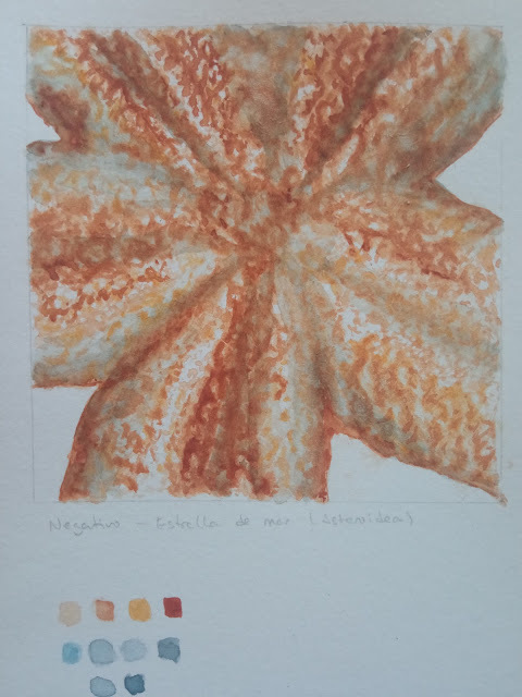 ICAcademia's tweet photo. Proyecto #cursoillustraciencia Beatriz Gómez Ruiz - Texturas marinas - Ilustra Acuarelas https://t.co/cOxlfL8XcH #ilustracioncientifica https://t.co/K2HoaKncuz