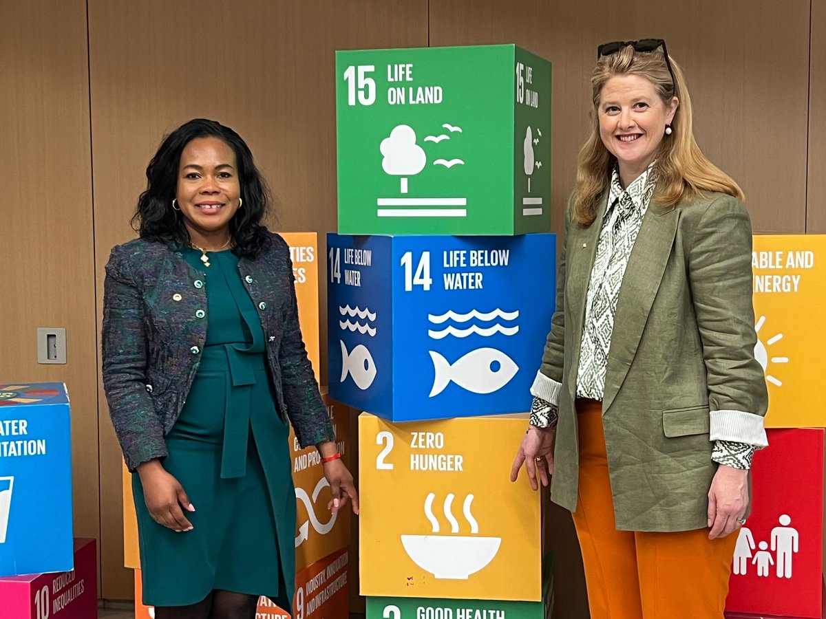 Wonderful meeting @irishmissionun Ambassador Fergal Mythen 2 share our @LadyAgri work #Africa Women in Agrivalue chains the drivers of #SustainableFoodSystems Real impact & Results 2 reach #SDGs #2030Agenda @IrelandinNY @IFIAD_IRELAND @UCCAlumDevel @IrishBusinessNY @PowerUSAID