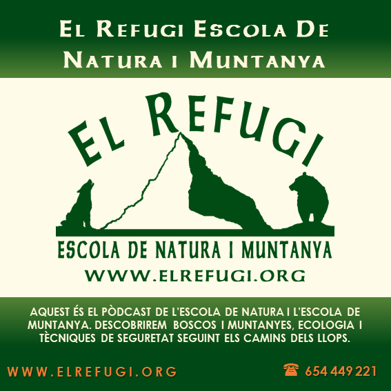 ElRefugiEscola's tweet photo. ESTRENEM!
Obrim el #podcast #ElPasDelsLlops on caminareu una aventura de 15 minuts amb el guia de muntanya, en Miquel.
Al 1r capítol i amb motiu de la #SetmanaDeLaNatura, descobrim les teixedes #TaxusBaccata.
Apte per a nens i nenes.

https://t.co/IdouDSSbP0 https://t.co/tE3gCbIx3E