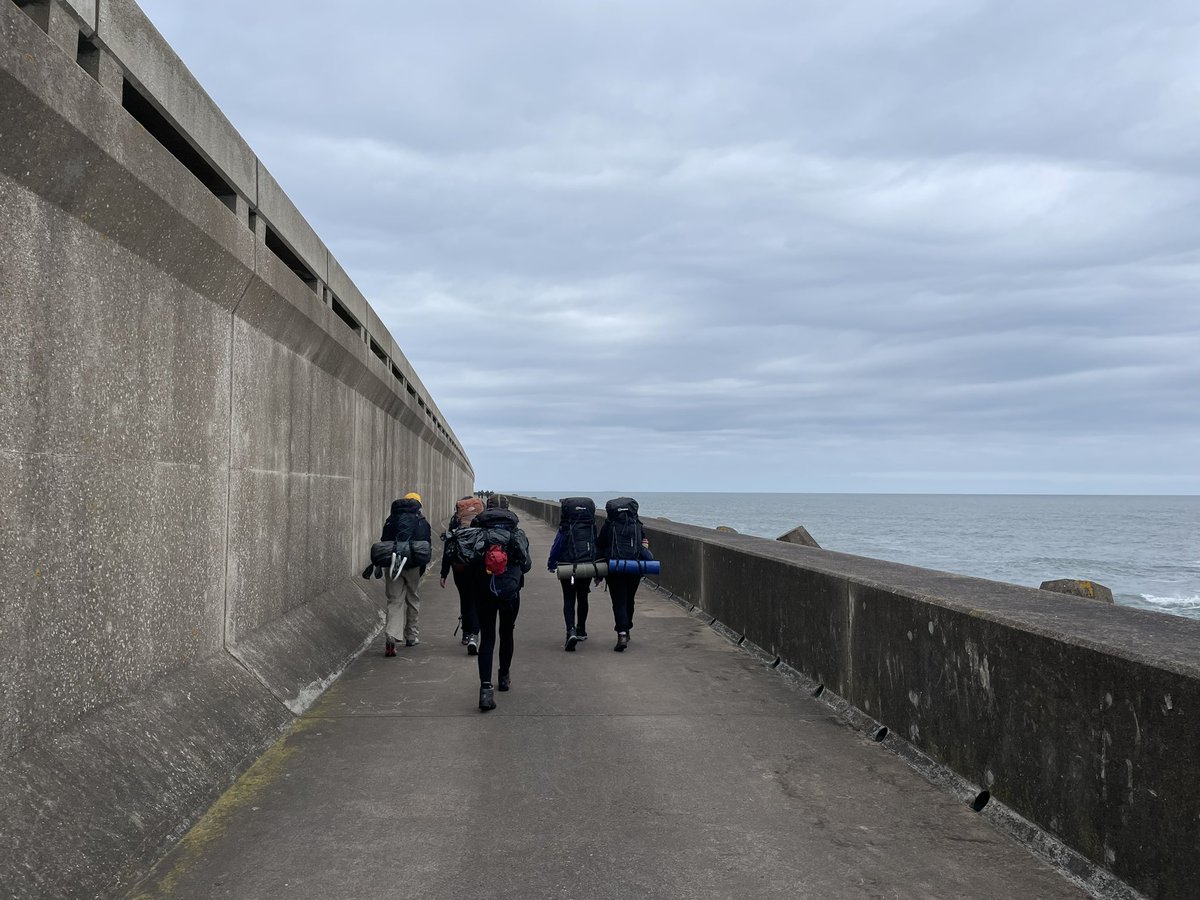 MGS D of E tweet media