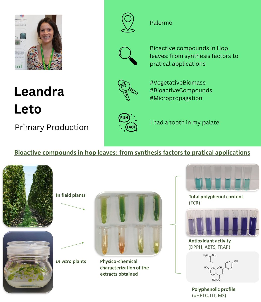 More PhDs from the 37° cycle are on the way!
Let's #MeetThePhD

👩‍🎓Leadra Leto
🟢Primary Production
🗝️#VegetativeBiomass #BioactiveCompounds #Micropropagation