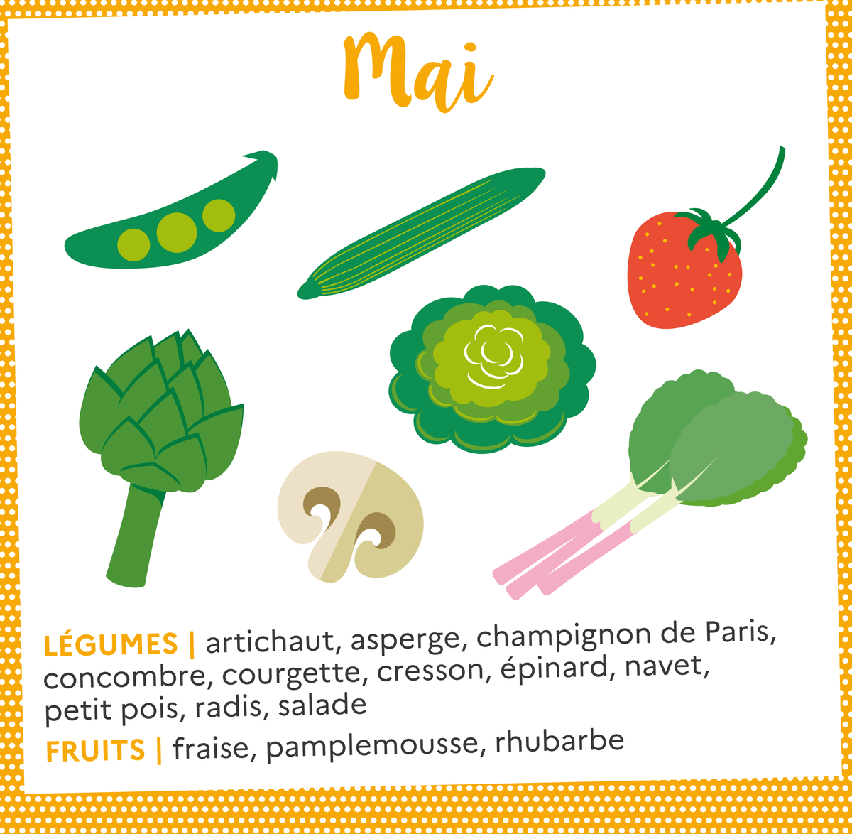 ademe_IDF's tweet image. Au menu du mois de mai :

Artichaut, asperge, champignon de Paris, concombre, courgette, cresson, épinard, navet, petit pois, radis, salade, fraise, pamplemousse, rhubarbe. 

Retrouvez notre calendrier des fruits et légumes de saison : bit.ly/40I38E5 📅 #ConsoResponsable
