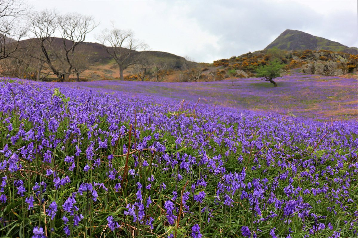 info@keswick.org tweet media