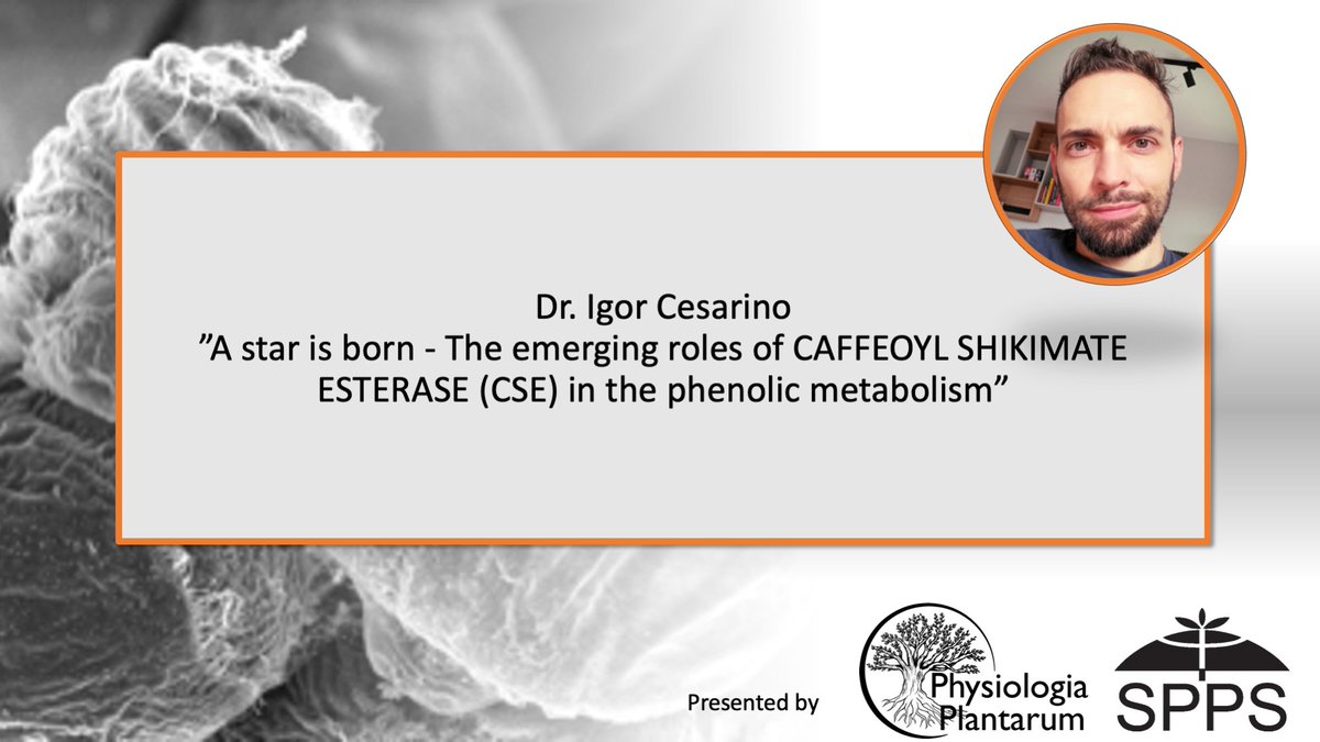 Physiologia Plantarum tweet media