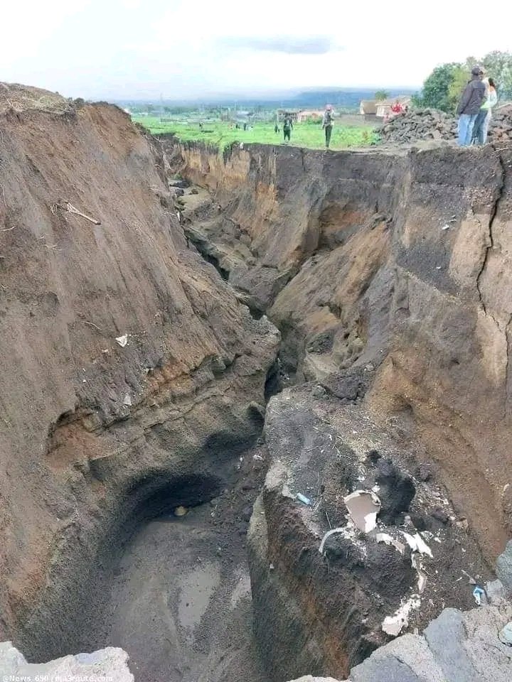 Karasinga3's tweet photo. Wonders of the world.

Kiamunyi Nakuru
#nakuru #nature https://t.co/gdSaciZ7ey