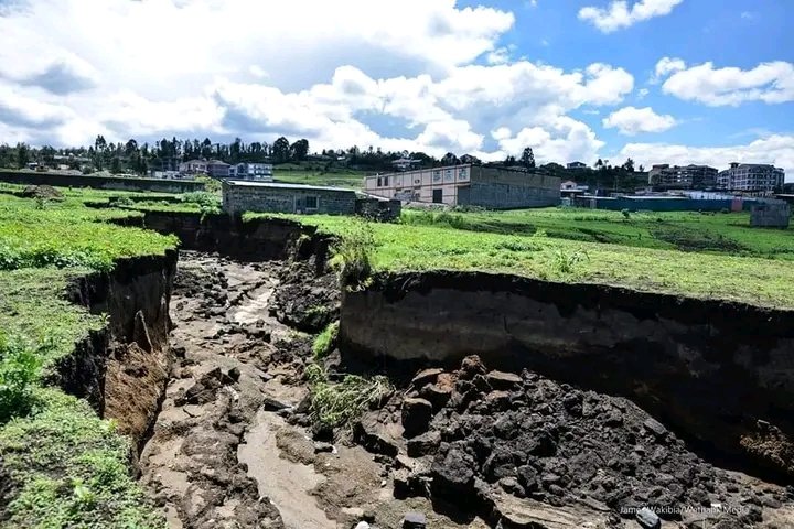 Karasinga3's tweet photo. Wonders of the world.

Kiamunyi Nakuru
#nakuru #nature https://t.co/gdSaciZ7ey