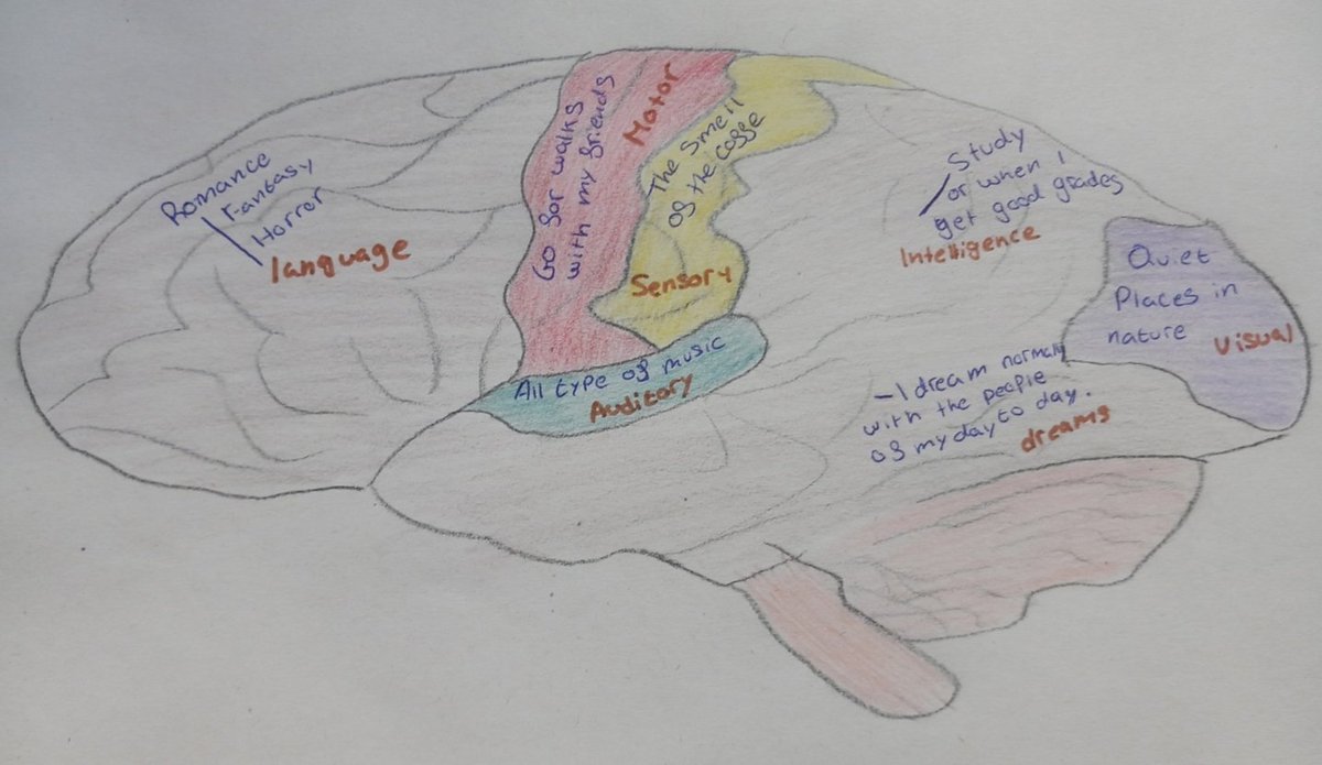 IsabelScience's tweet photo. What's in my brain? 
Today we show you brain parts of four 3°ESO people from @Twitsabel2. Can you guess who they are? https://t.co/acqZeSGXw3