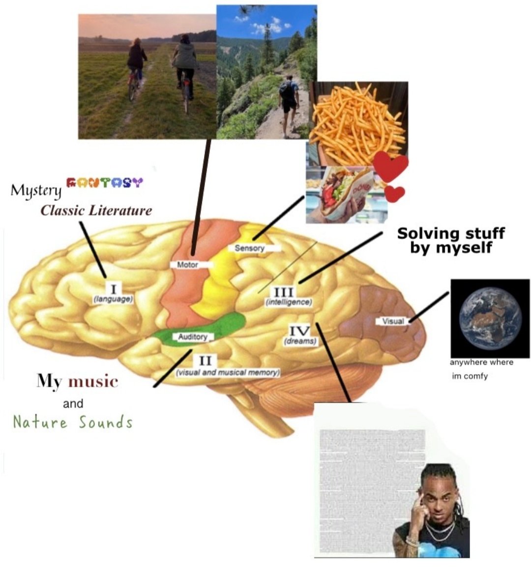 IsabelScience's tweet photo. What's in my brain? 
Today we show you brain parts of four 3°ESO people from @Twitsabel2. Can you guess who they are? https://t.co/acqZeSGXw3
