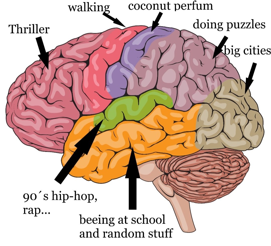 IsabelScience's tweet photo. What's in my brain? 
Today we show you brain parts of four 3°ESO people from @Twitsabel2. Can you guess who they are? https://t.co/acqZeSGXw3