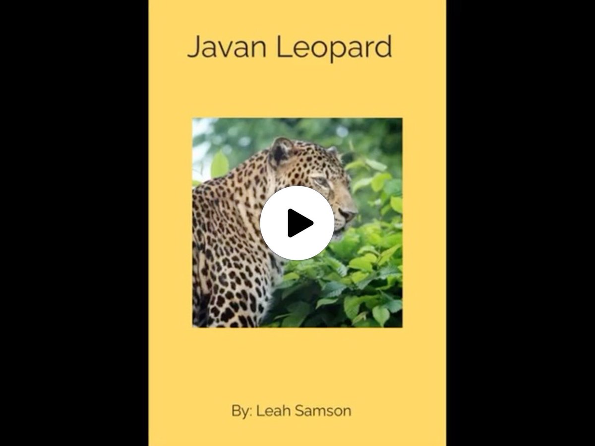 jkapsaskis's tweet photo. Check out these amazing @BookCreatorApp animal books. Ss wrote 5 paragraphs each using a different nonfiction text structure. @hpointschool #osd135 https://t.co/gdTgSwiXG9