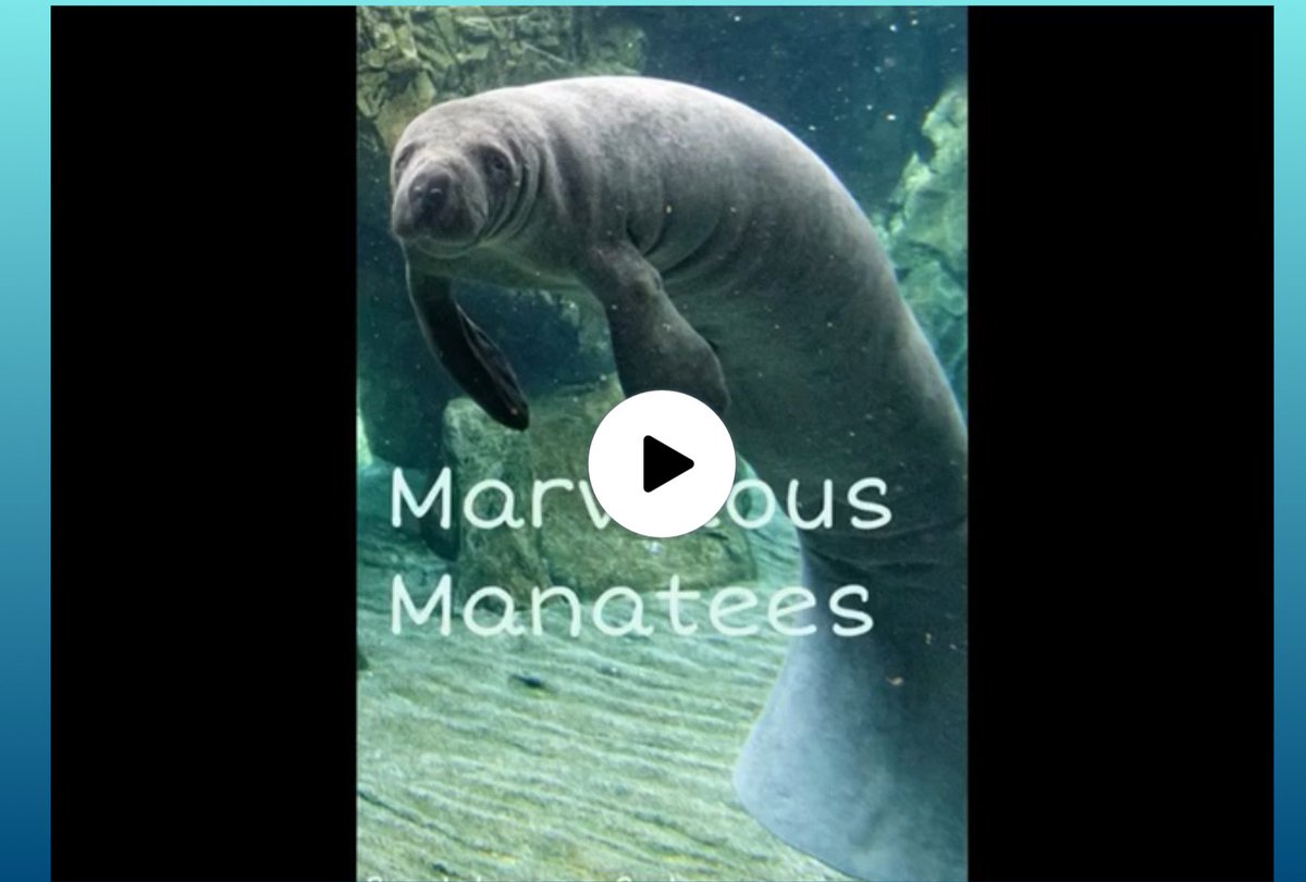 jkapsaskis's tweet photo. Check out these amazing @BookCreatorApp animal books. Ss wrote 5 paragraphs each using a different nonfiction text structure. @hpointschool #osd135 https://t.co/gdTgSwiXG9