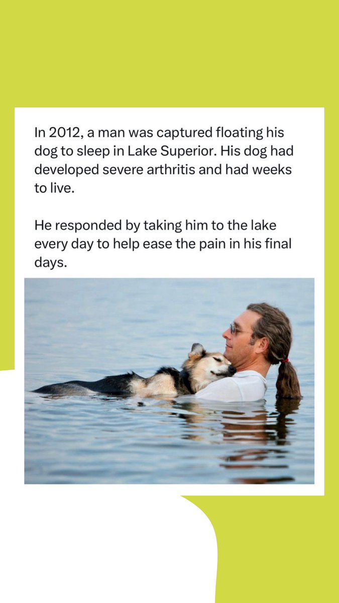 We’re not crying, you are 🥺💚🌱 

Thank you for capturing this @hannahstonehousehudson 🎥