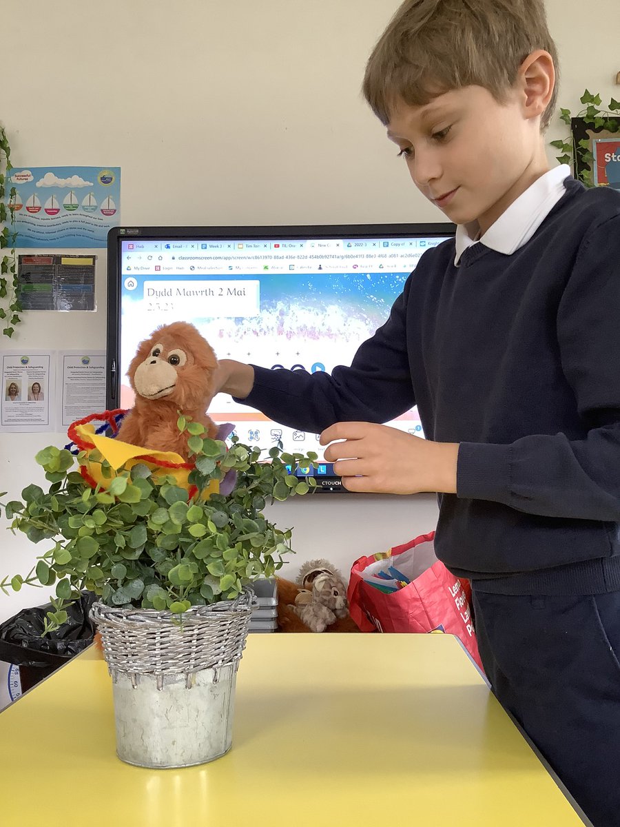 SullyPS's tweet photo. Thank you to Suzie from @sizeofwales for our brilliant workshop exploring the rainforest and the human impact on it. We loved finding out about different animals who call the rainforest home. We were #SPSResourceful and built our own orangutan nests 🦧 #SPSCurious #EcoWarriors https://t.co/C6tSnNRSEL
