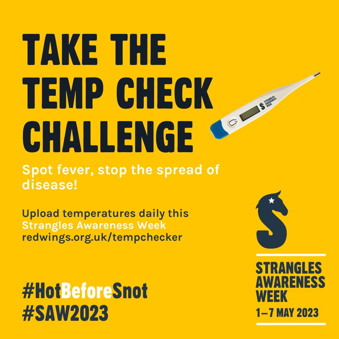 RemusHorse's tweet image. This @StranglesWeek, enter your horse’s temperature each day for a chance to win a yard tour with Piggy March or Richard Davison &amp;gt; bit.ly/3LskIqp #HotBeforeSnot #SAW2023 #TempCheckChallenge #StranglesAwarenessWeek

Not sure how? Watch the video: