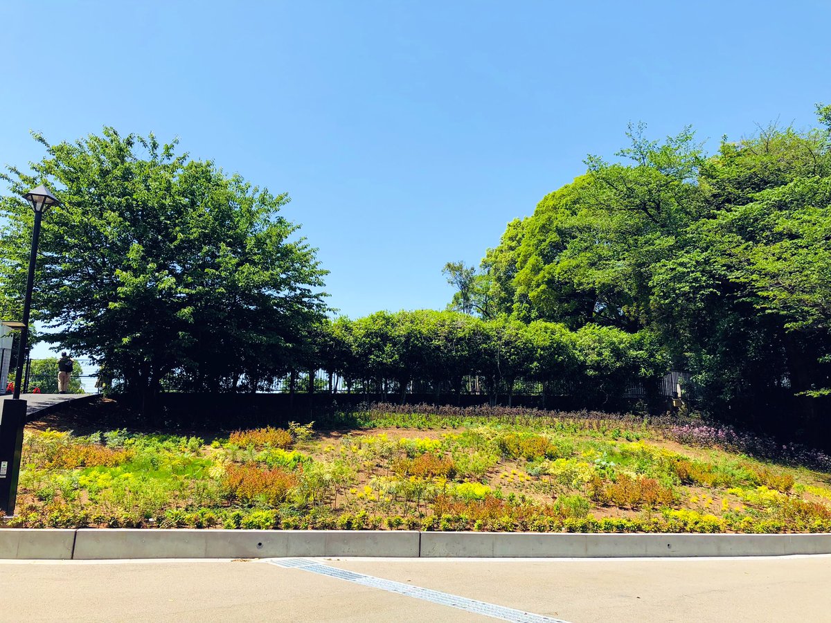 tocotoco94's tweet photo. 紫陽花…
あんなに沢山あったのに🥲

お花もすごく綺麗だったのに🌸

さみしさしかない…

#としまえん
#練馬城址公園 https://t.co/roF9mhEMbt