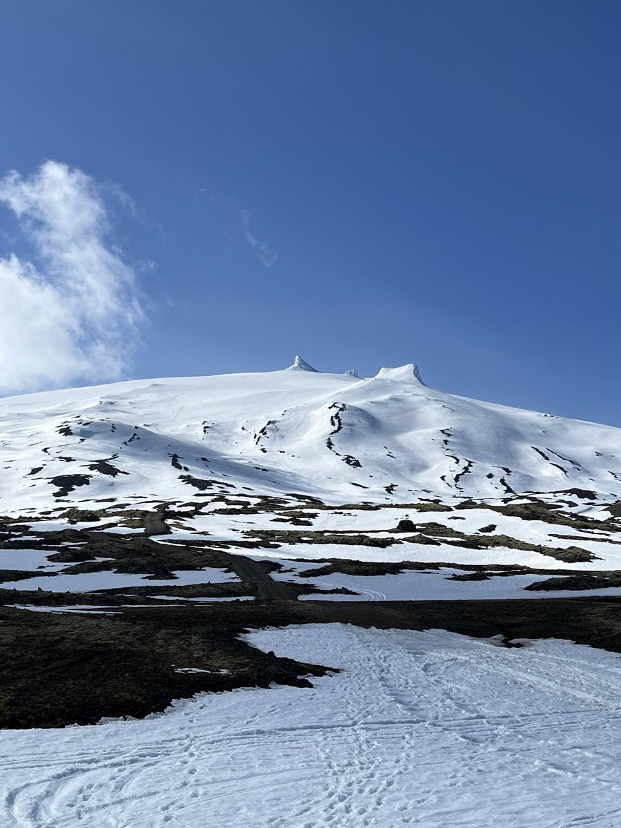 Ragnar Heiðar Þrastarson tweet media