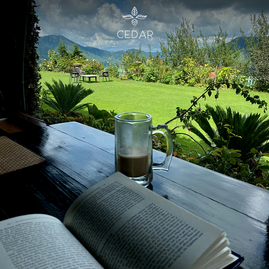 staywithaahma's tweet photo. Sit amidst the clouds as you sip on a hot brew, reading your favourite novel while experiencing the magical #mornings at #CedarbyAahma
#aahmahospitality #Aahma #mountains #mountainview #teatime #teawithaview #peace #hillstation #uttarakhand #ramgarh #nainital #morningtea https://t.co/N7U8nv3Qdc