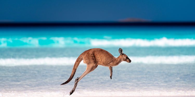 Stanysurfer 🇦🇺 tweet media