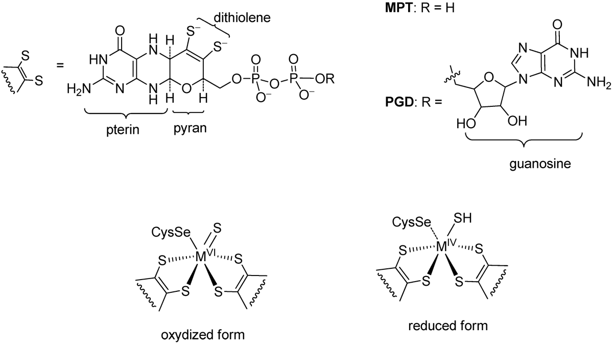 Molecules_MDPI's tweet image. 📌#formatedehydrogenases #structuralmodels #functionalmodels #dithiolenecomplexes #carbondioxidereduction
New Publication “Formate Dehydrogenase Mimics as Catalysts for Carbon Dioxide Reduction”
By: Marc Fontecave, et al. 
👉 mdpi.com/1420-3049/27/1…
#mdpimolecules #NewPublication