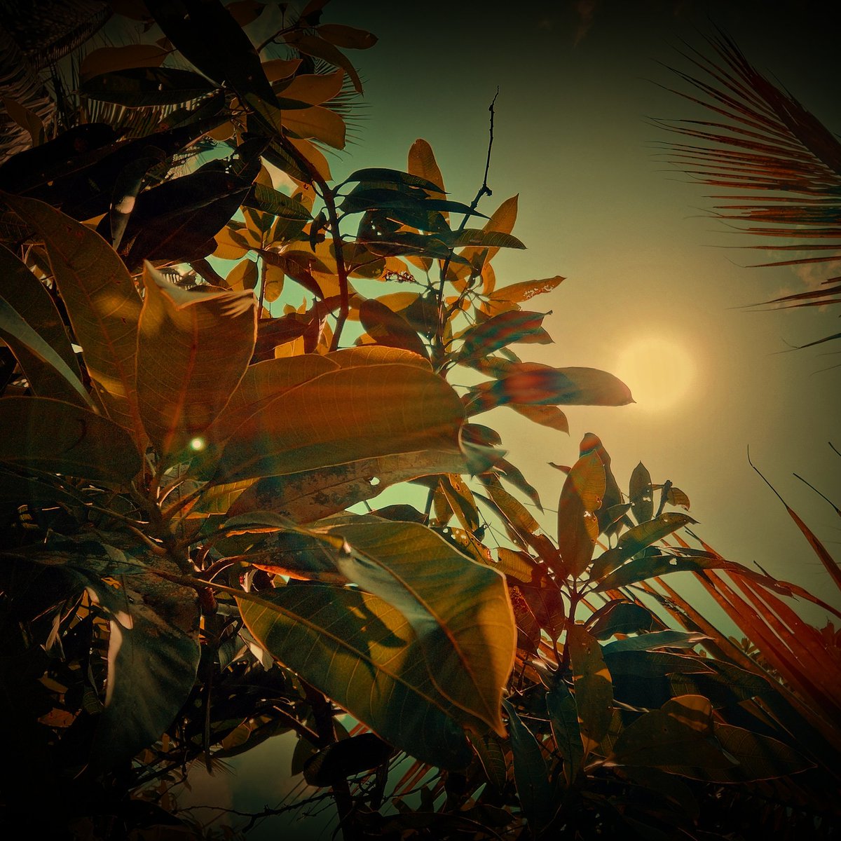 AsshhhuuH's tweet image. #NewProfilePic