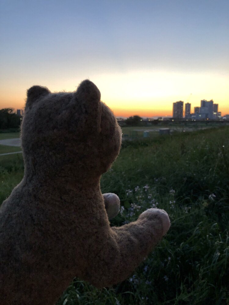 emperorlisa's tweet image. Twilight zone✨
#plushiesoftwitter #ぬい撮り