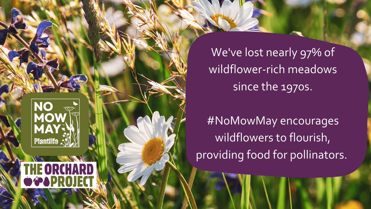 The Orchard Project tweet media