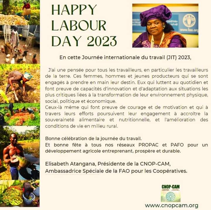 Bonne célébration de la journée Internationale du Travail. #JIT2023
Et bonne fête à tous nos réseaux <a href="/PROPACinfos/">PROPAC</a> #PROPAC et <a href="/pafo_africa/">Pan African Farmers Organisation (PAFO)</a> #PAFO <a href="/KolyangPalebel1/">Kolyang Palebele</a> pour un développement agricole entreprenant, prospère et durable.

#LaborDay2023