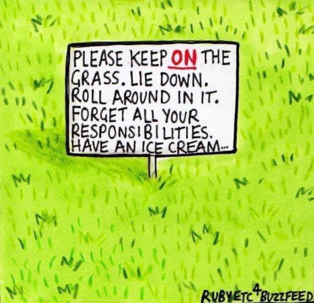 Mud & Bloom🌱 (@mudandbloom) on Twitter photo 💚 by @rubyetc 
#natureconnection #nature #getoutside 💚 by @rubyetc 
#natureconnection #nature #getoutside