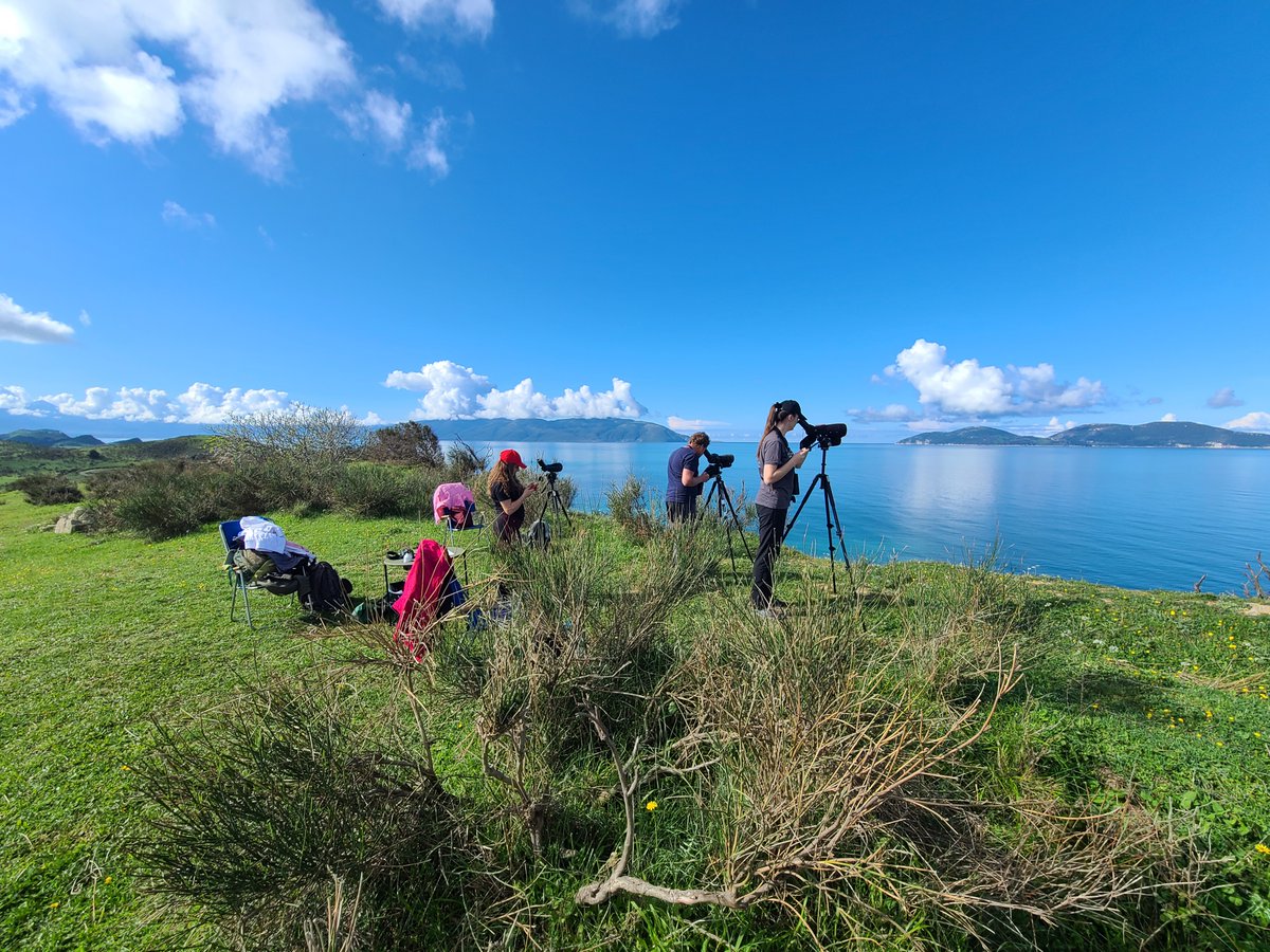 PPNEA's tweet photo. #BirdON Course approaching!🔭
Gain knowledge in #ornithology & equip yourself with the necessary skills for identification & conservation of birds. Apply now by sending your CV & motivation letter to contact@ppnea.org.
🗓️Deadline: May, 5th
@hbs_tirana https://t.co/H0LbGLsGBj