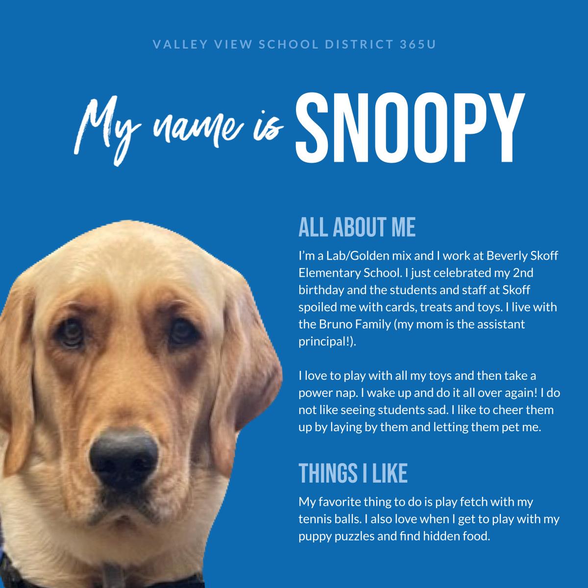 Valley View Schools (@vvsd365u) on Twitter photo 