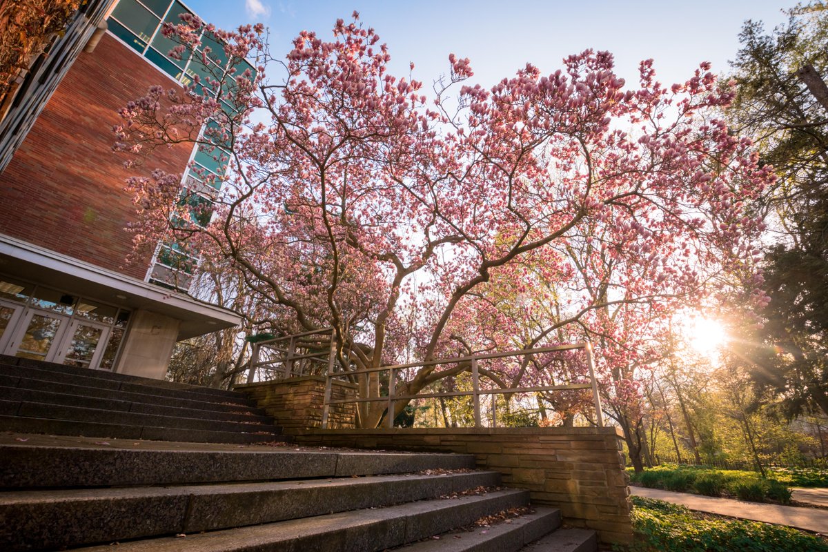 michiganstateu's tweet photo. April showers bring May flowers. 🌸 
📷: U. Moshi, K. Sergakis https://t.co/Igfc10ApNQ