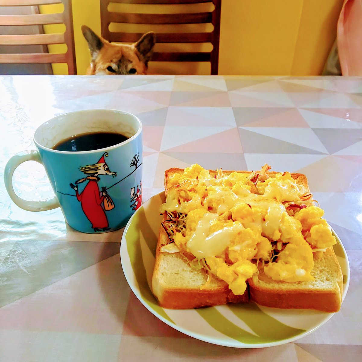 今日の朝食風景。眠たそうなチョコ🐶にジーッと覗かれながらスクランブルエッグトーストを食べました。