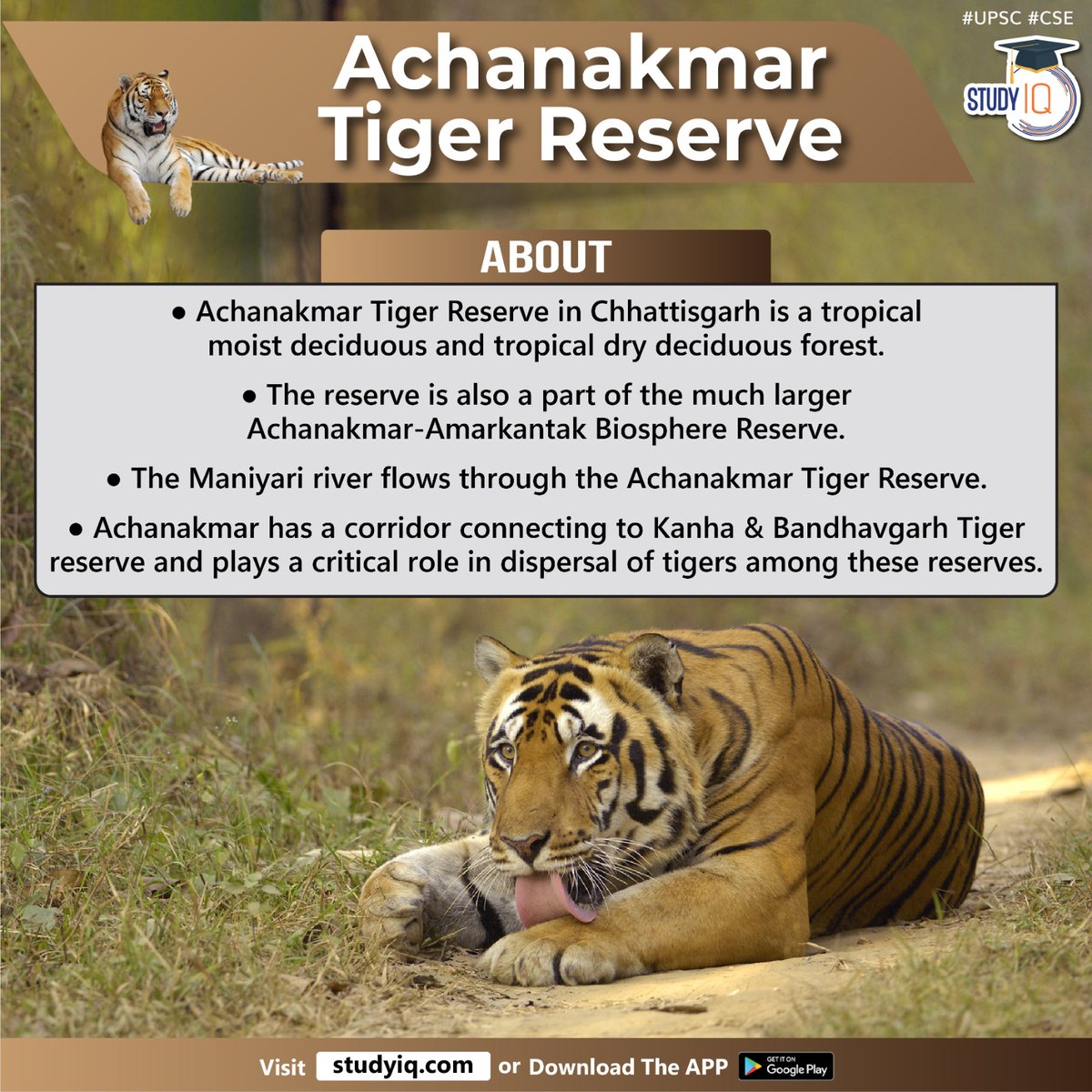 Newspoket's tweet photo. Achanakmar Tiger Reserve

#achanakmartigerreserve #tigerreserve #bilaspur #chhattisgarh #forest #amarkantakbiospherereserve #bandhavgarhtigerreserve #wildlifesanctuary #sal #bija #khamar #bambooflourish #medicinalplants #bengaltiger #indianleopard #slothbear #nilgai https://t.co/Ur09VpvuVL