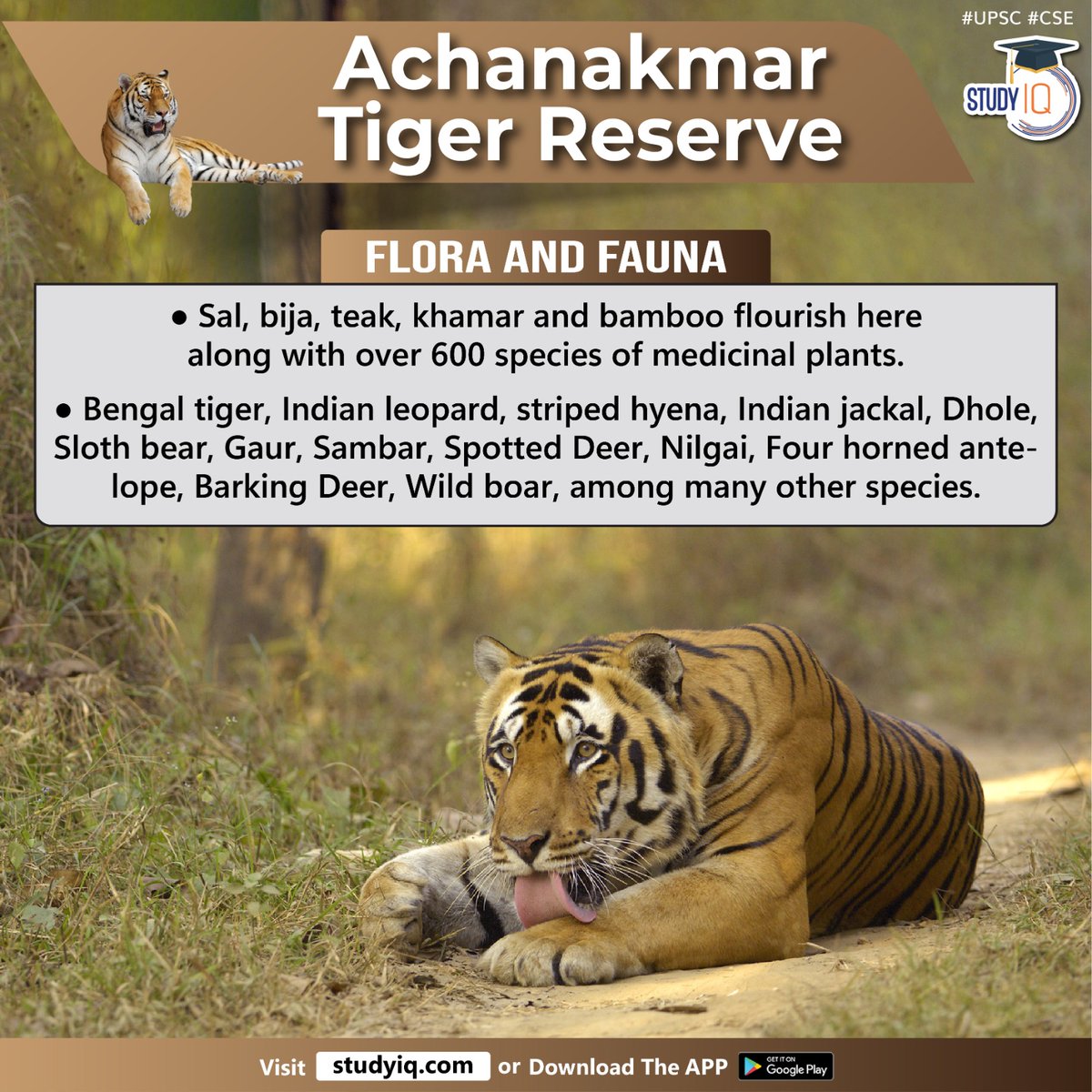 Newspoket's tweet photo. Achanakmar Tiger Reserve

#achanakmartigerreserve #tigerreserve #bilaspur #chhattisgarh #forest #amarkantakbiospherereserve #bandhavgarhtigerreserve #wildlifesanctuary #sal #bija #khamar #bambooflourish #medicinalplants #bengaltiger #indianleopard #slothbear #nilgai https://t.co/Ur09VpvuVL