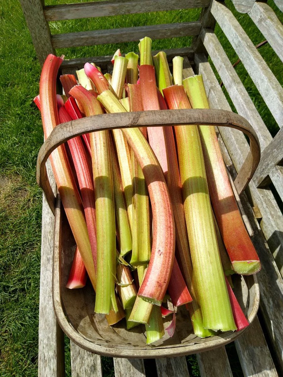 Standen NT tweet media