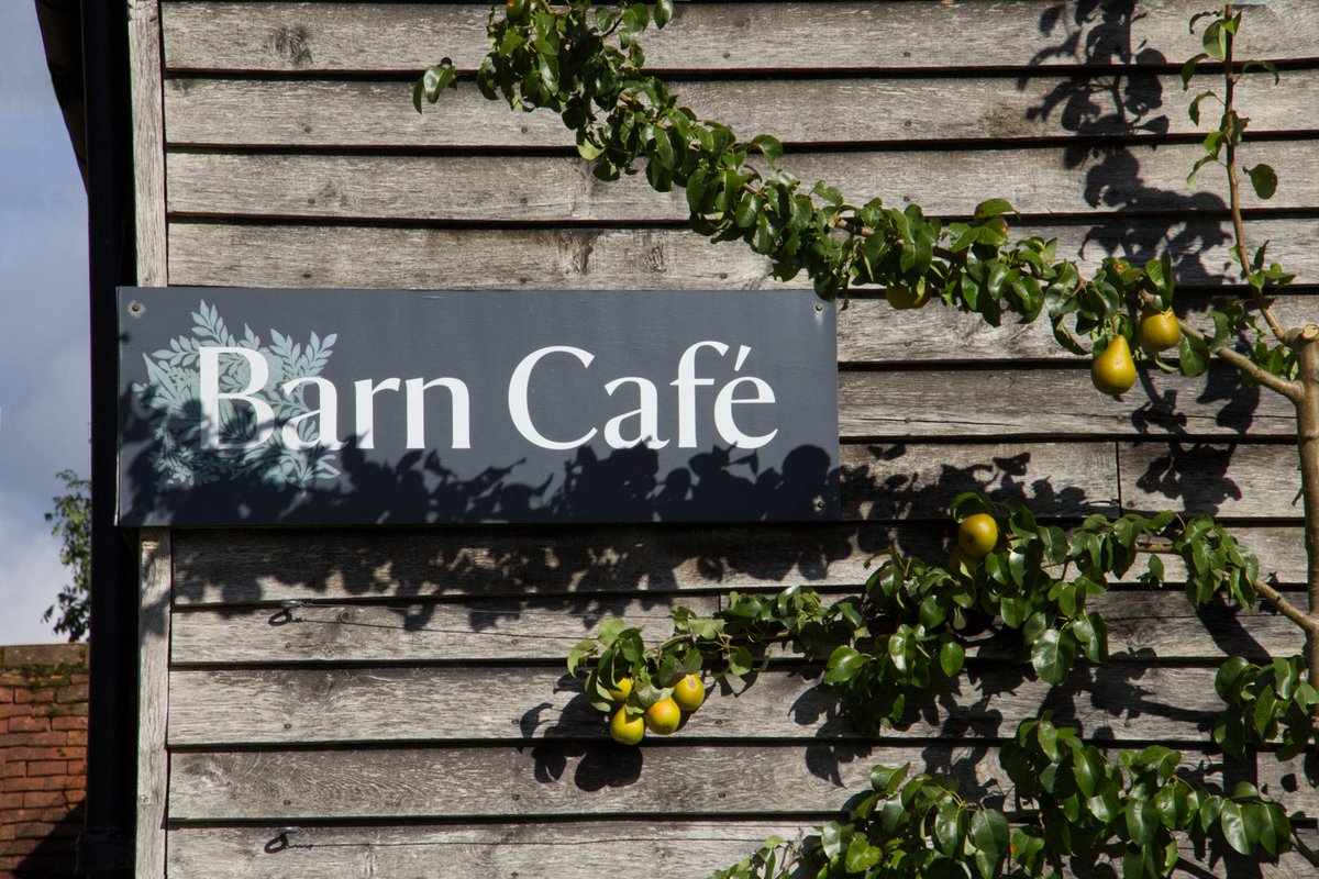 Standen NT tweet media