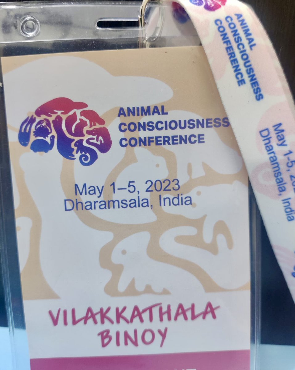 A global team of 35 researchers brainstorms on the essence of consciousness in the animal world📷 Organized by the Institute for Advanced Brain Studies, Lomonosov Moscow State University, Moscow.