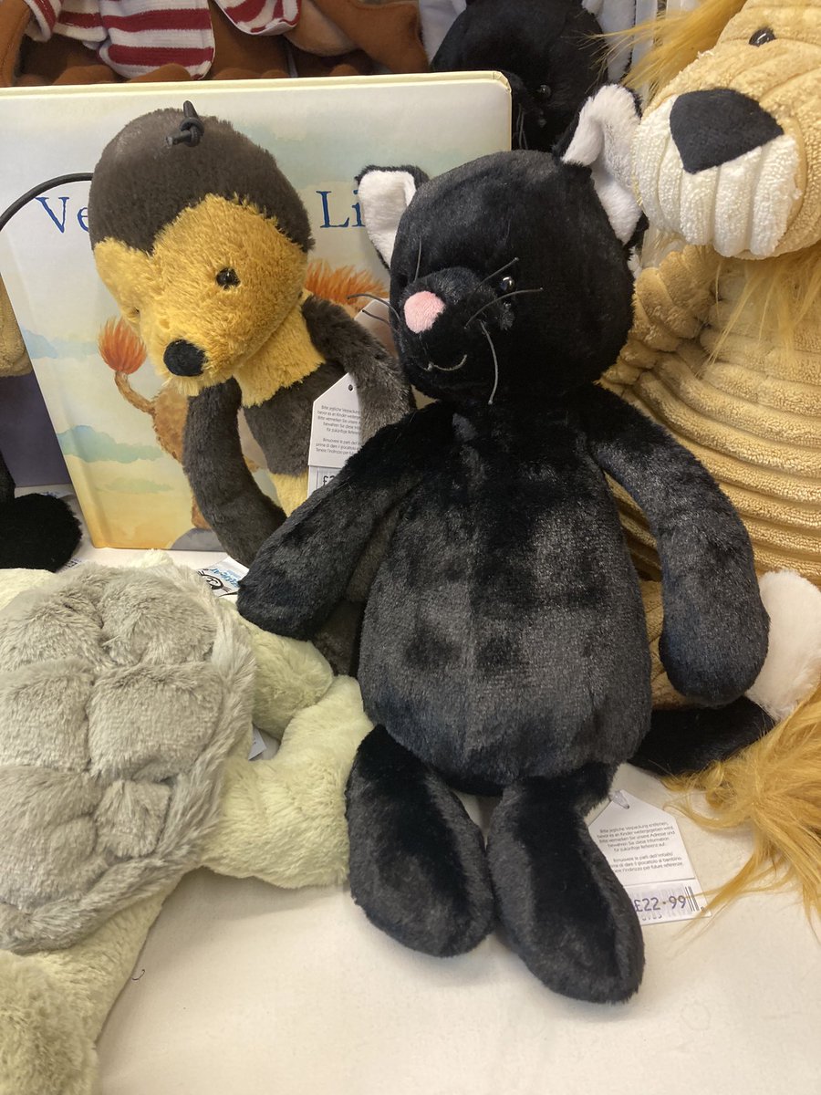 I buy this jellycat cat today and I am going to called it Shadow. What do you think of name for my jellycat