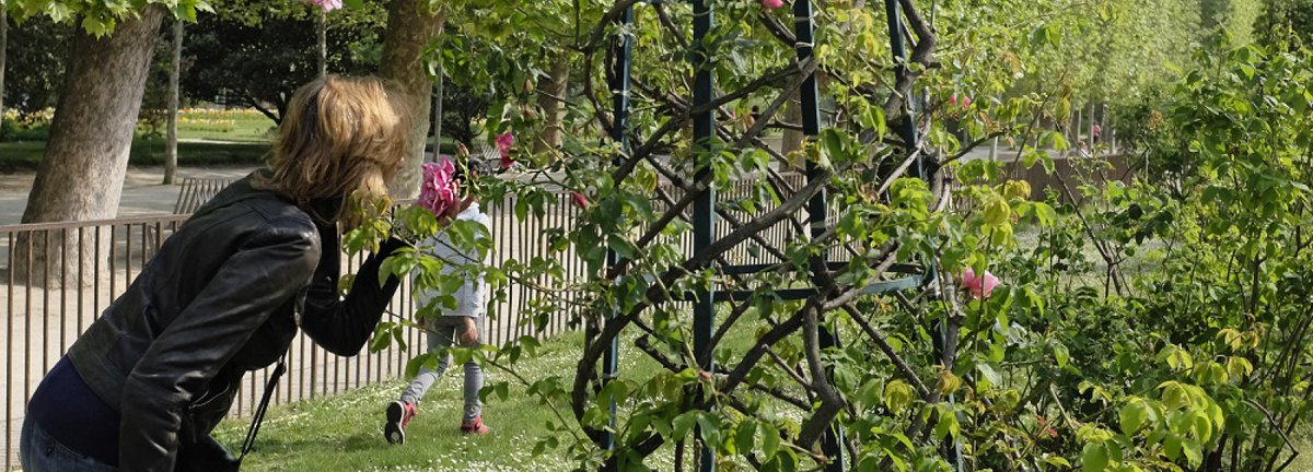 parisparisfr's tweet image. 5 mai. #VisiteGuidée. « Nez au vent dans le jardin » : explorez le #JardinDesPlantes par les odeurs qui le caractérisent : lmy.de/jYYetETn #EnFamille, dès 12 ans. @Le_Museum. #MardiConseil