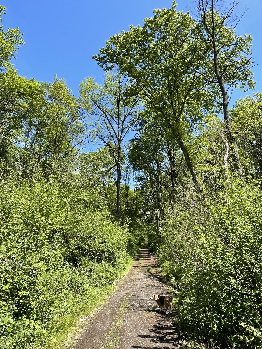 Earthbased.soul tweet media