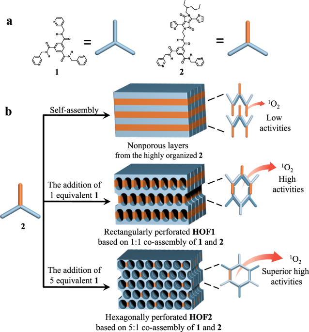 Hierarchical porous photosensitizers with efficient photooxidation nature.com/articles/s4146…