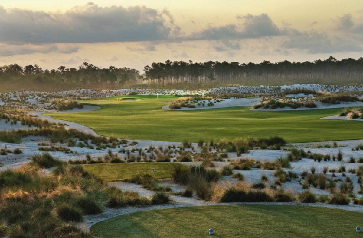 Ernie Els Design & Hospitality tweet media